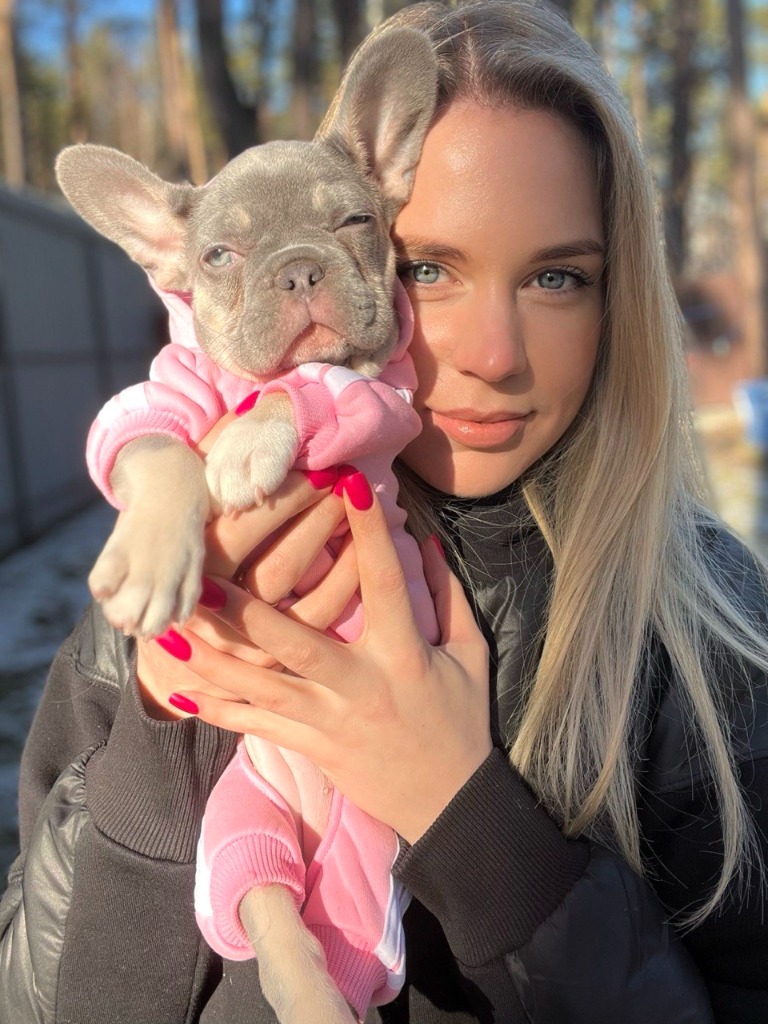 Elite Frenchie Puppy